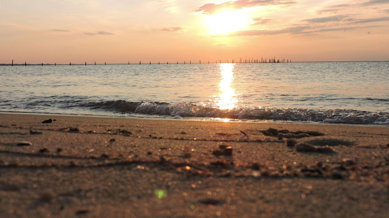 Virginia coastline