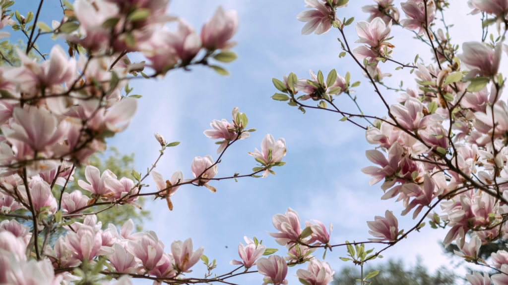 While the availability of formal autism resources may vary across Virginia communities, the potential for meaningful connection exists everywhere