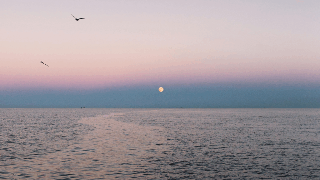 Norfolk Autism Center partners with Suffolk families at every step